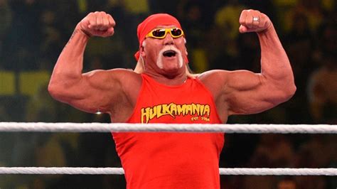 Hulk Hogan Gets Baptized Calls It The Greatest Day Of His Life