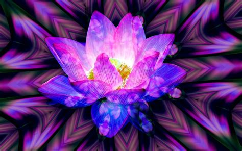 Magic Lotus By Mladavid On Deviantart