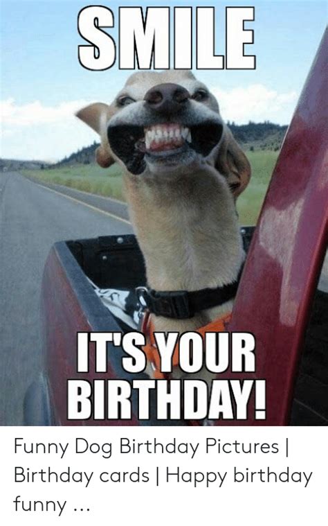Find & download free graphic resources for birthday dog. SMILE ITS YOUR BIRTHDAY Funny Dog Birthday Pictures ...