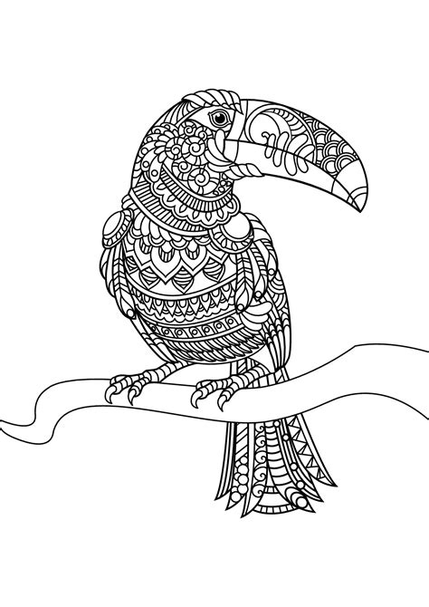 On september 6, 2019september 7, 2019 by coloring.rocks! Toucan Bird Coloring Pages at GetColorings.com | Free ...