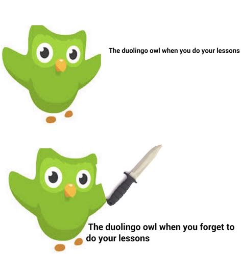 Look Out For The Duolingo Owl Dankmemes