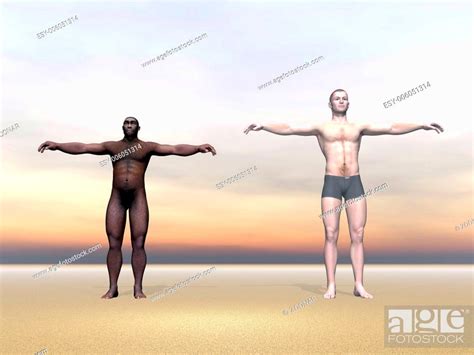 Modern Human And Homo Erectus D Render Stock Photo Picture And Low Budget Royalty Free