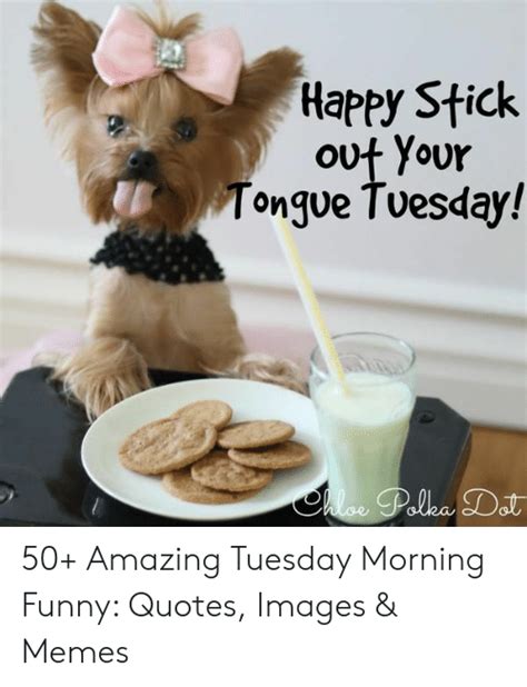 The only thing that could boost up your moral at this time is humor and the best way to get it is via memes. Happy Stick Out Your Tongue Tuesday! 50+ Amazing Tuesday Morning Funny Quotes Images & Memes ...