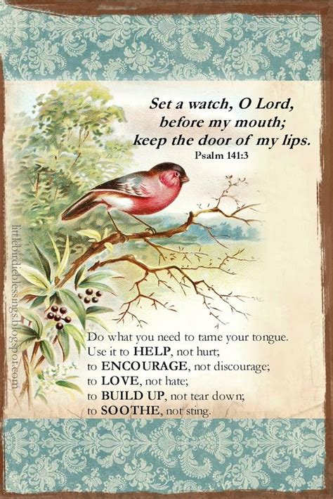 Little Birdie Blessings Scripture Thursday Be Still