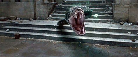 Snake In Harry Potter And The Deathly Hallows Part 2 Cultjer Cultjer