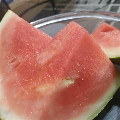 Has This Watermelon Gone Bad Rfruit