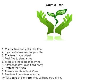 Ways To Save The Environment Essay