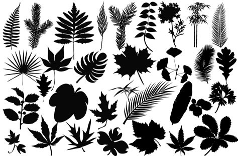 Leaves Silhouettes Graphic By Twelvepapers · Creative Fabrica