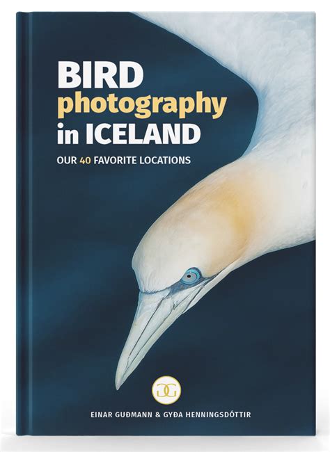 Bird photography in Raufarhöfn - Photographing Iceland