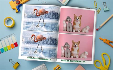 Supreme Spot The Difference Book For Adults Animal Picture Puzzles
