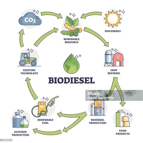 Penjelasan Siklus Hidup Bahan Bakar Biodiesel Dengan Semua Diagram