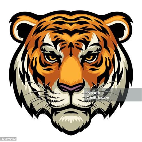Tiger Head Stock Illustration Download Image Now Istock