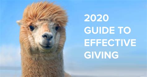 Guide To Giving Animal Charity Evaluators