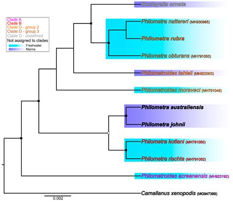 Diversity Free Full Text On The Evolutionary History Of