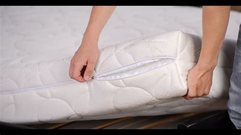 From eggs, to nymphs and adults. How to get rid of bed bugs on mattress-Pictures/Images ...