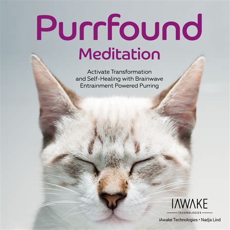 Our cats may purr when we pet and tickle them, but it's a much more complicated form of communication than we've assumed. Purrfound Meditation - iAwake Technologies