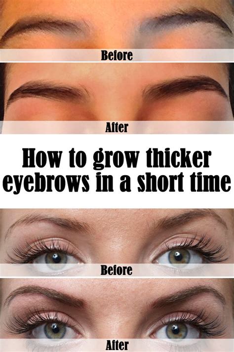 How To Grow Thicker Eyebrows In A Short Time Grow Eyebrows Thicker How To Grow Eyebrows Grow