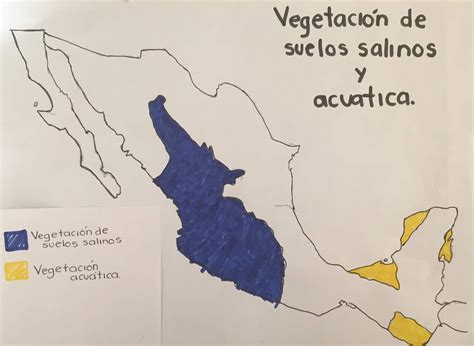 Regiones Naturales De Mexico