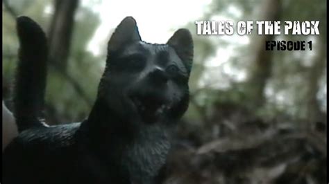 Anna lise phillips, jack campbell, katie moore production co: Tales of the Pack - E1 (Schleich Wolf/Dog Movie) - YouTube
