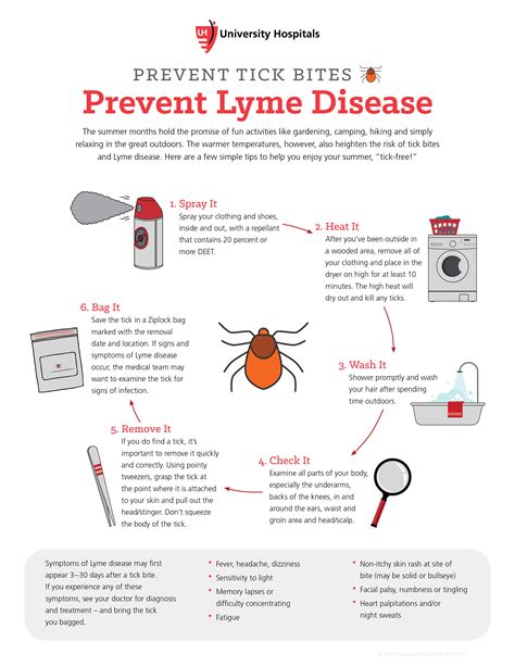 How Best To Prevent Tick Bites And Avoid Lyme Disease Healthyuh