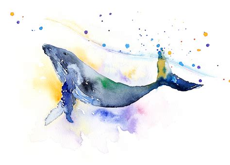 Whale Swimming In Watercolor On Behance