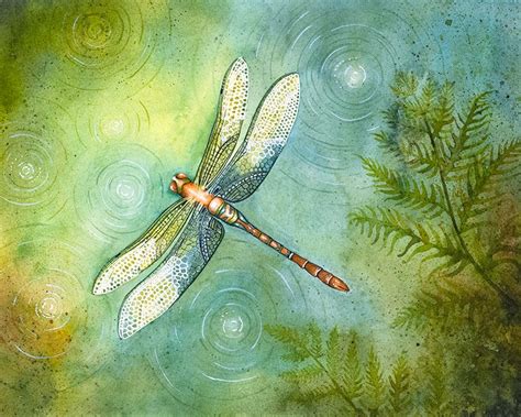 Dragonfly Watercolor Print Dragonfly Art Print Dragonfly Etsy