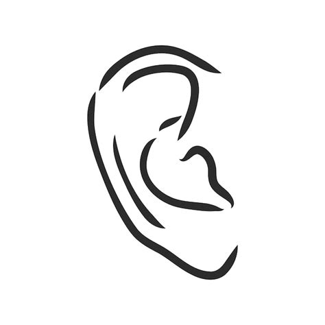 Premium Vector Drawing Human Ear Ear Vector Sketch On A White