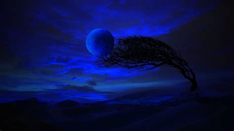 Free Download Blue Moon Night Hd Wallpaper Background Image 1920x1080 [1920x1080] For Your