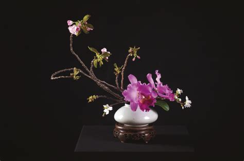 Korean Kocoji Traditional Korean Floral Arranging Living Flowers