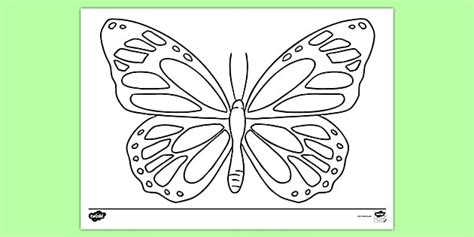 Butterfly art and activity pack quantity. Large Butterfly Outline - Colouring Template (teacher made)