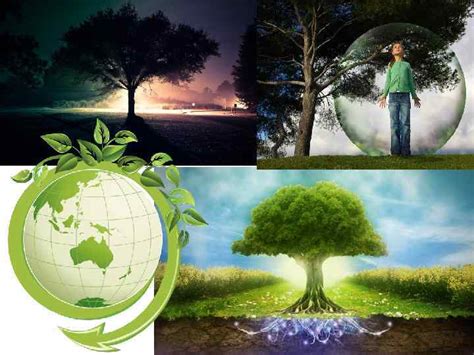 Презентация на тему Экология и экологическое воспитание