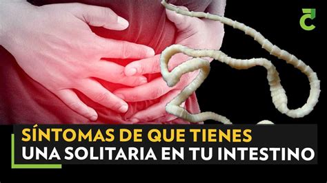 S Ntomas De Que Tienes Una Solitaria En Tu Intestino