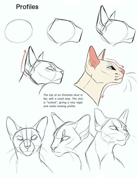 12 Easy Tutorials How To Draw A Cat How To Draw Tutorials