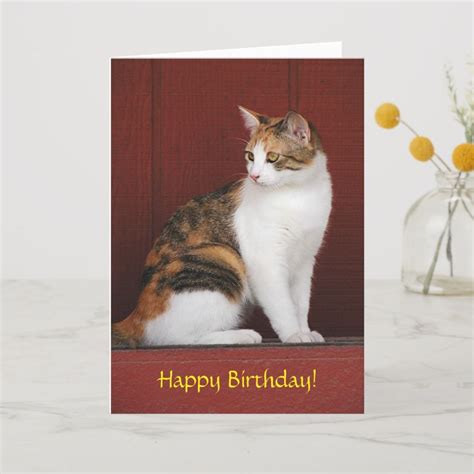Calico Cat Birthday Card Cat Birthday Cat Birthday Card