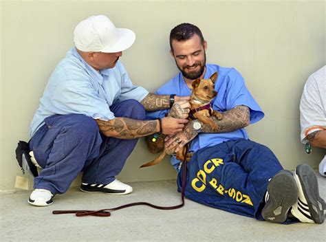 Inmates At Salinas Valley State Prison Clean Up Their Act To Train Spca
