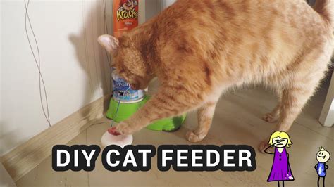 After opening can, store remaining wet food in a plastic container. DIY ARDUINO CAT FEEDER - cat pushes button to get food ...