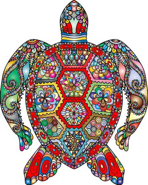 Free Image on Pixabay - Sea Turtle, Floral, Flowers | Turtle art, Sea turtle, Sea turtle clipart