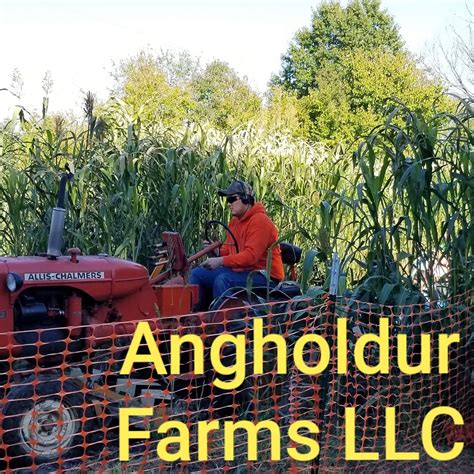 Join millions of people looking to find tattoo inspiration, discover artists and studios, and easily book tattoo appointments. Angholdur Farms LLC Fall Family Fun - Home | Facebook