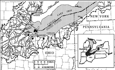 Lake Erie Basin Showing The Western Basin And Primary Tributaries And