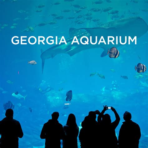 The Georgia Aquarium Atlanta Ga Worlds Largest Aquarium