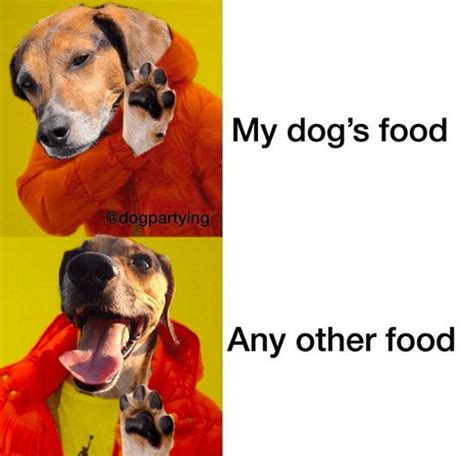 27 Dog Memes To Get You Through The Day Dog Memes Funny Dog Memes