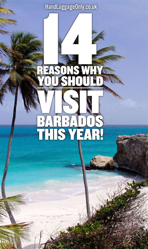 14 Very Best Things To Do In Barbados Visit Barbados Barbados Vacation Barbados Travel
