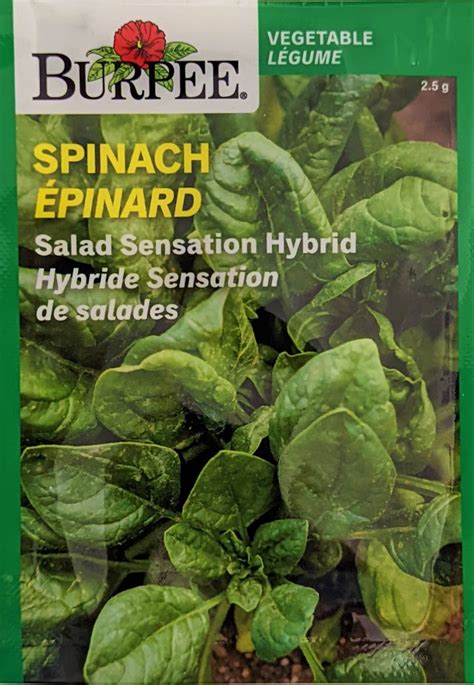 Burpee Seeds Spinach Salad Sensation Hybrid Scotts Nursery Ltd