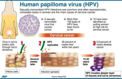 Early stages of cervical cancer typically don't have any symptoms, but pain during intercourse, and bleeding afterwards, could be a sign that the cancer is spreading to the surrounding tissues. 4. What is HPV? - Women Health Info Blog