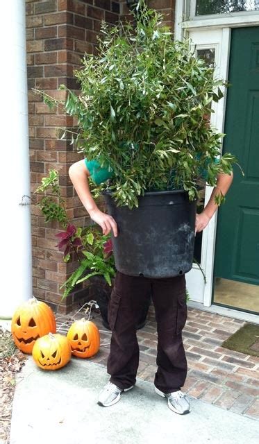 Shrub Bush Plant Costume 3 Steps With Pictures Instructables