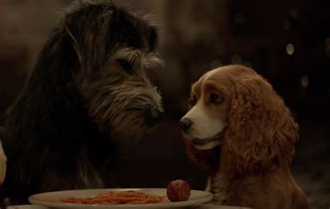 Disney Unveil First Trailer For Lady And The Tramp Live Action Remake