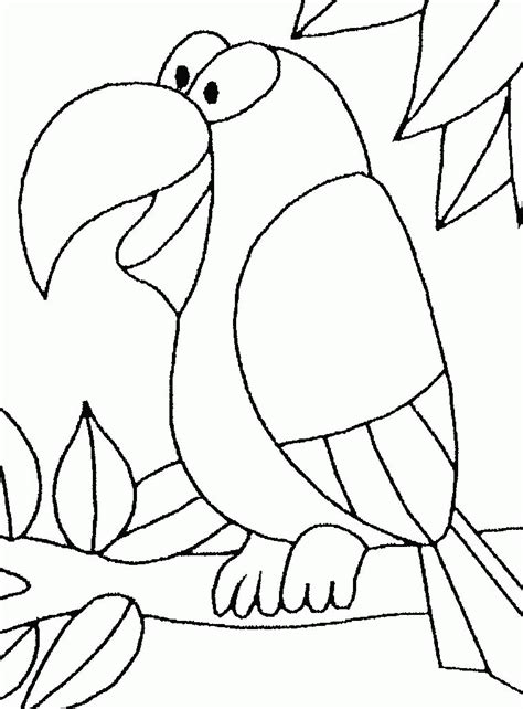 Pictures Of Parrots To Color Coloring Home