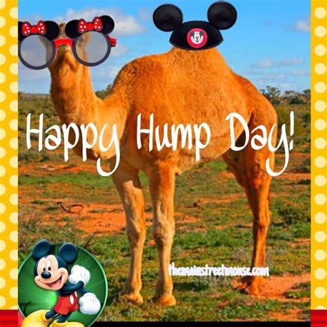Pin By Kelly Matsumura On Anything Disney Hump Day Disney Inspired