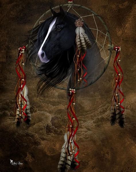 Dream Catcher Black Stalion By Ali Oppy Native American Horses Dream