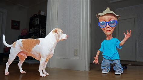 Dog Vs Alien In Disguise Prank Funny Dogs Maymo Penny